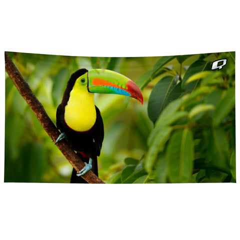 Tucan JJ - Microfiber Swim Towel