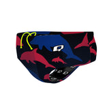 TRI CHI WALK AND RUN Dolphin - Classic Brief Swimsuit