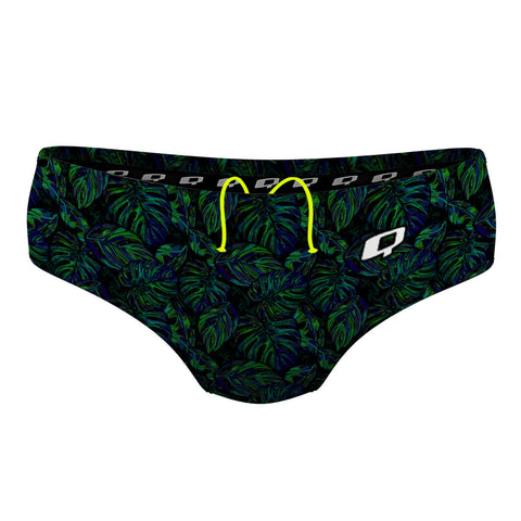 CNSF - Classic Brief