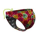Gifted Waterpolo Brief