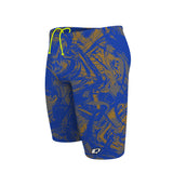 Sierra Vista - Jammer