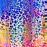 Mermaid Skin Bikini Bottom - Q Swimwear